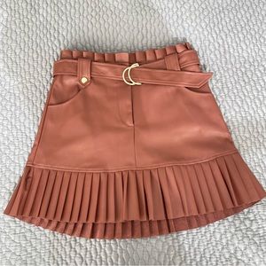 Zara Blogger Favorite Faux Leather Pleated Skirt